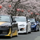 車と桜