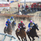 春季競馬大会2