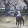 春季競馬大会5
