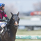 春季競馬大会6