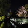 東寺 1