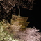 東寺 2