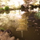 東寺 3