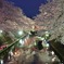 むすびの地の夜桜