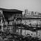Urban riverside boat house
