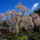 久遠寺