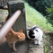 邂逅 / encounter