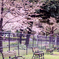 春の日比谷公園