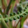 DSCF0754a