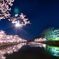 高田公園観桜会