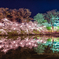 高田公園観桜会