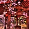 芝増上寺