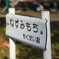 ねずみもち