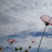 空に向かって