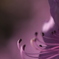 横顔