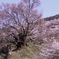 0R3A3110 (1)