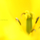 ☆Doctor yellow