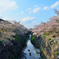 山崎川