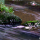 流桜