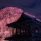 阿弥陀寺
