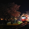 夜桜駅