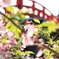 太鼓橋にかかる