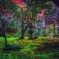 Mysterious forest