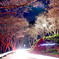 night-hike
