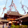 水分神社の桜