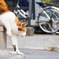 狙いを定めて