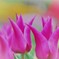 Caring with Pastel Color
