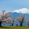 桜島