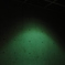 viridis*