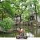 ziaojun080