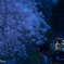 Blue Moment