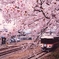 17-04-10-19-11-59-031_deco