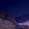 夜桜