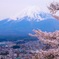 新倉山浅間公園