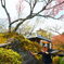 GOURA PARK
