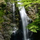箕面の大滝