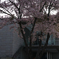 DP2M7651