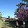 興福寺