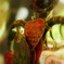 DSC04191