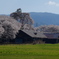 牧場の春