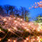 高田城夜桜2