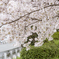通学路