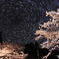 千鳥別尺の夜 ソメイヨシノと星景