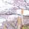 はる