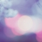 桜と灯り
