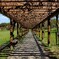 公園の通路